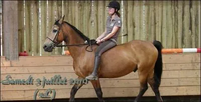 Au trot, que font tes mains ?