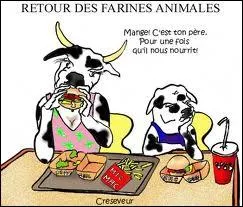 Qui a dit  Vous avez not qu'on dit un steak de boeuf, une cte de boeuf, un rti de boeuf, mais ds que l'animal devient suspect c'est la vache qui est folle !  