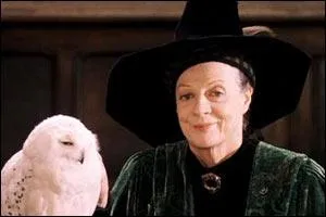 Qui est ce prof de Harry ?