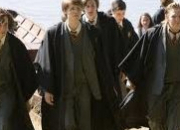 Quiz Harry Potter : les maraudeurs