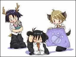 Sont-ils tous des animagi ?