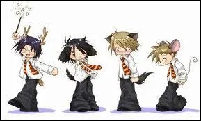 Dans quel but taient-ils devenus des animagi ?