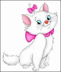 Comment s'appelle ce chat ?