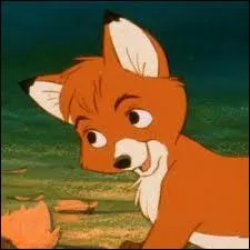 Comment s'appelle ce petit renard ?