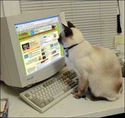 Il a choisi le thme  Flins  !