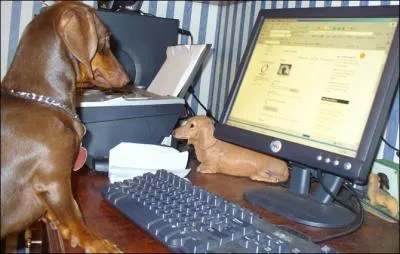 Il est sur la page  Os  moelle  !