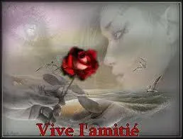 ''Toi mon amour, mon AMI /Quand je rêve c'est de toi / Mon amour, mon AMI / Quand je chante c'est pour toi / Mon amour, mon AMI / Je ne peux vivre sans toi / Mon amour, mon AMI / Et je ne sais pas pourquoi''