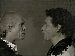 ''Un AMI m'a donné rendez-vous / Des AMIS, je n'en ai plus beaucoup / Mon AMI me sautera au cou'' 
Quel duo pour cette chanson ?