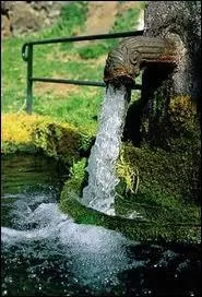  La racine boit l'eau de la fontaine.  Combien  voyez -vous d'crivains dans cette phrase ?