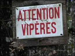 Quel crivain se caractrise par ses tableaux de la petite bourgeoisie provinciale ? (Indice :  Le nud de vipres )