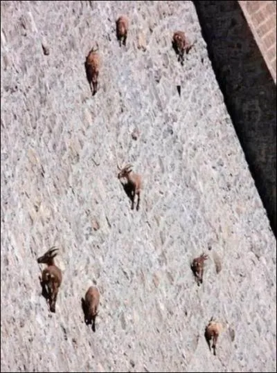 Il faut en tre un pour ne pas tomber !