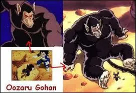 Dans quels pisodes se transforment Gorille Vegeta , Gorille Sangohan ?