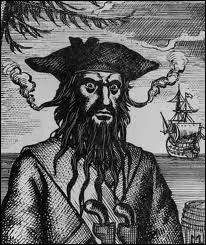 Barbe-Noire est sans aucun doute le pirate le plus effrayant. En l'espace d'un an, il a pill plus de 40 bateaux. Il portait 6 pistolets et a t tu aprs avoir reu 20 coups de couteaux et 5 balles.