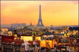 Paris, la Ville Lumière, compte 141 musées, 1449 hôtels, 455 parcs et jardins et plus de 17 500 boutiques et accueille 6 millions de visiteurs annuels pour monter sur la Tour Eiffel.