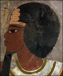 Le pharaon antique Amnophis III, grand constructeur de palais royaux et d'immenses temples, a eu 6 pouses. Symbole fort, il existe 150 000 statues  son effigie dans l'Egypte actuelle.
