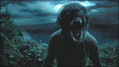 A quoi sert la potion  tue-loup  ?