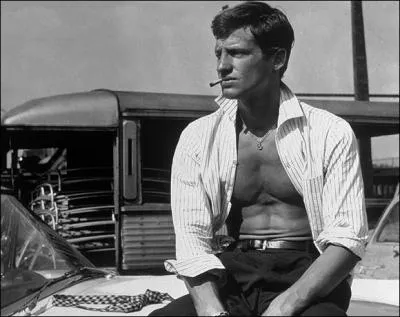  C'est un animal de comptition . (Lino Ventura) Jean-Paul Belmondo n'a pas jou dans :