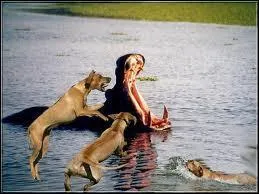 Dans ce sport, un joueur peut en affronter plusieurs !