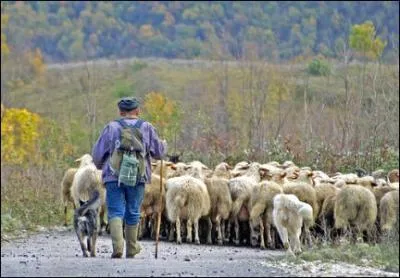 A Paris ou  New-York, c'est une course de longue haleine !