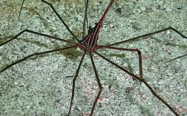 Quiz Aquariophilie