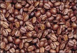 Combien d'espces de cafs sont les plus largement rpandues ?