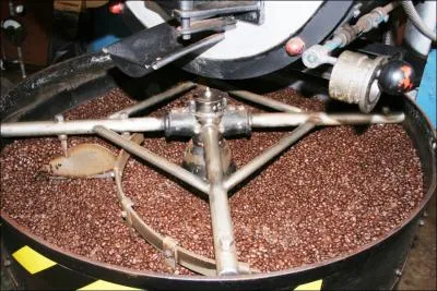 La torrfaction, procd qui consiste  griller le caf, est utilise galement dans quel autre domaine ?