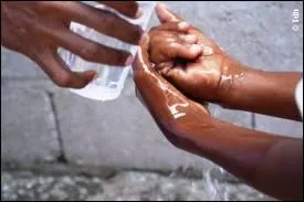 C'est au 19e sicle qu'une pidmie se propagea  travers toute l'Europe. De quelle maladie s'agissait-il ?