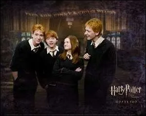 O habitent les Weasley ?