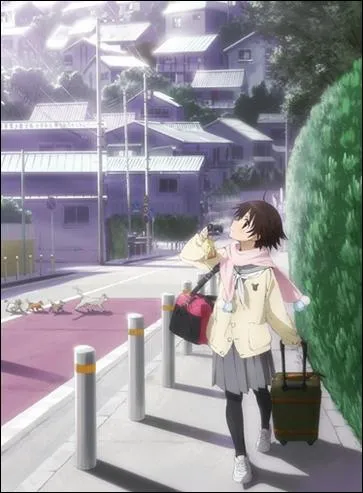  Tamayura : Hitotose  met en scne une jeune fille, F, qui vient de perdre son pre. Tout en enqutant sur les secrets de celui-ci, elle assouvit en mme temps sa grande passion pour :