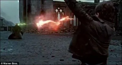 Qui tue Voldemort ?