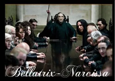 Qui est tu par Voldemort dans le manoir des Malfoy ?