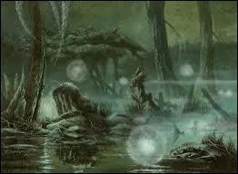 Le feu follet est une lumire diffuse, vacillante, brve ...