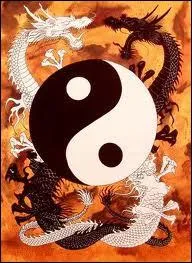 Le feu fait partie des lments de la philosophie chinoise. Ces lments sont au nombre de :