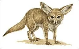 Que reprsente ce dessin ?