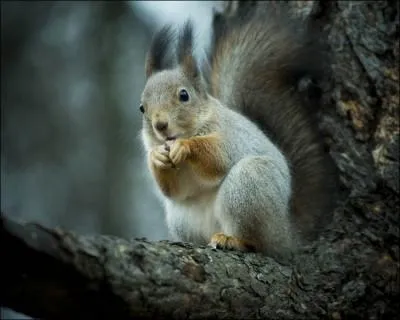 Ballet frie de deux actes !