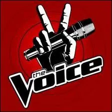 Quelle est la composition du jury du nouveau tl-crochet de Tf1   The Voice  ?