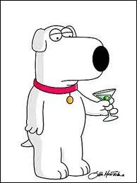 Un chien un peu pataud. Qui est-ce ?