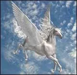 Quel cheval lgendaire est dot d'ailes ?