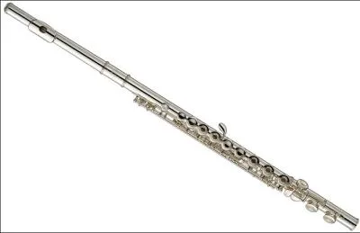 Sais-tu quel est le nom de cet instrument ?