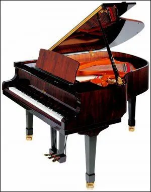 Sauras-tu reconnatre cet instrument ?