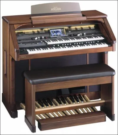 Sauras-tu reconnatre cet instrument ?