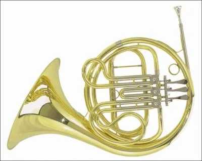 Connais-tu le nom de cet instrument ?