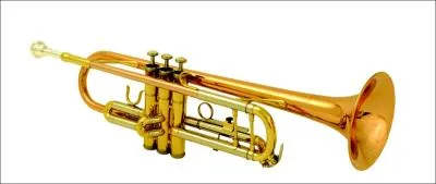 Comment s'appelle cet instrument ?