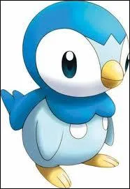 Ce Pokmon bleu est un :