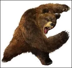 Comment se nomme ce personnage de Tekken 5 ?