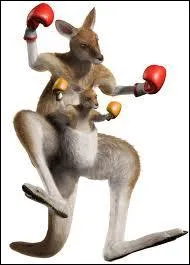 Comment se nomme ce personnage de Tekken 5 ?