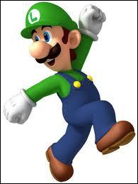 Comment s'appelle le frre de Mario ?