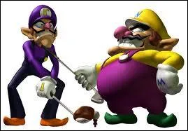 Wario et Waluigi ont-ils un lien de famille ?