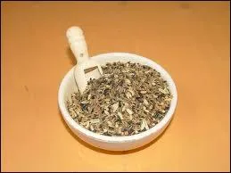 Une graine, une fois torrfie, a une saveur proche de la noisette. On l'utilise entre autres pour fabriquer une huile. Il s'agit de