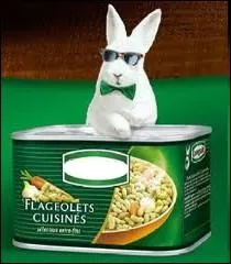 Un expert en lgumes, le lapin aux lunettes noires de chez ... .